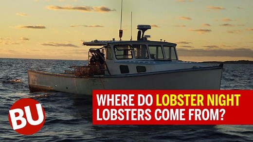6.1K views · 146 reactions | BU's annual Lobster Night—one of each fall’s most anticipated campus culinary events—is tonight. In this video, we recap BU Culinary Director Chris Bee's July visit to Gloucester, Mass., with several Dining Services executive chefs to meet with members of Cape Ann Lobstermen, who are supplying the 8,350 lobsters that will be served to our Terriers. 咽 | Boston University | Facebook