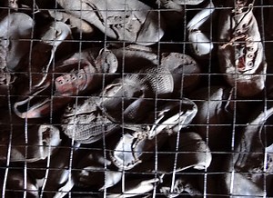 Lunchbox Lecture: Unconditional Extermination: Operation Reinhard and the SS Camps at Belzec, Sobibor, and Treblinka