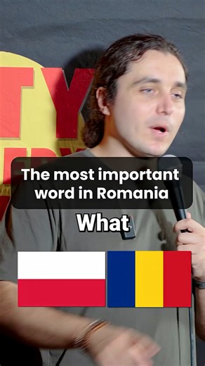 11 reactions | Language learning 藍藍藍 #standup #comedy #viralreels #comedian #funny #lol #fyp #explore #crowdwork #improv #explorepage #fypシ゚viralシ | Dragos Comedy Fans | Facebook