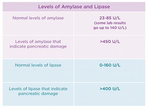 Tes Lipase: Tujuan, Prosedur, Risiko, & Hasil - Gangguan Pencernaan 2026