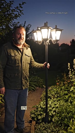 Illuminate Your Garden with Solar Lighting!