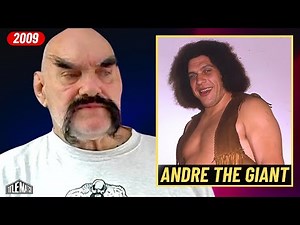 Ox Baker on Andre the Giant & When I "Killed" Ray Gunkel