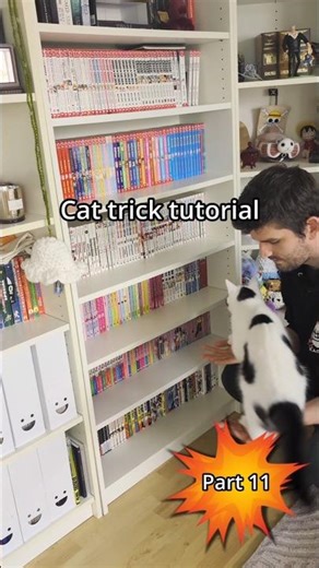 Cat trick tutorial part 11
