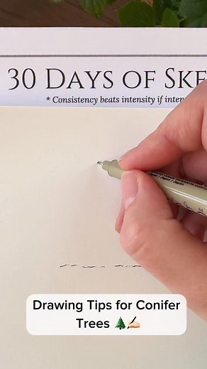 108K views · 1.5K reactions | Drawing Tips for Conifer Trees ✍...