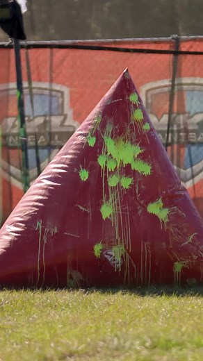 Dog Days of Summer | 5Pack Productions