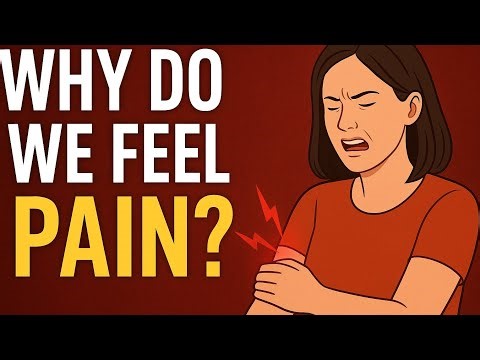 Human Body Pain System | Why Do We Feel Pain? 💊🧬