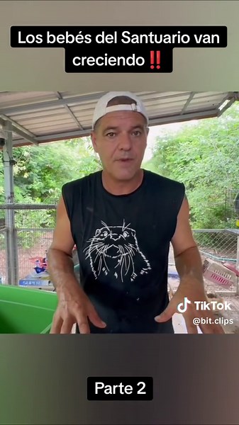 El puercoespín muerde a Frank‼️