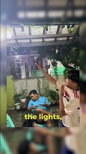 Lord of Insects . A unique method of getting rid of moths in the house!