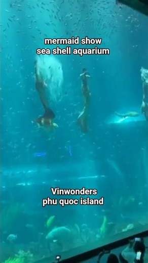 mermaid show | sea shell aquarium |in Vinwonders, phu quoc island