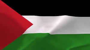 Waving Palestinian Flag Seamless Loop Animation