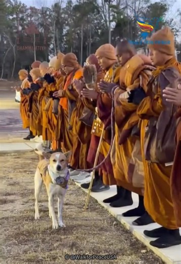 Monks Walk for Peace in Ridgeway, SC