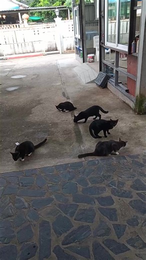 3 comments | Nik You Rock on Reels | Facebook