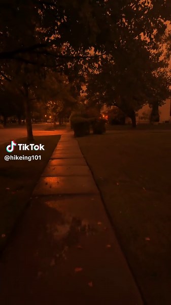 Disfruta de la Magia de una Noche de Lluvia