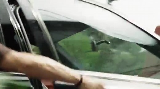 Snakes on a Plane 2006