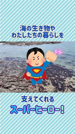 Let's make a herbarium with seaweed from Nagoya! #EnvironmentalEducation #NagoyaEnvironment #Inde...