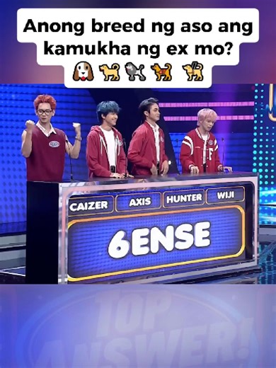 Anong breed ng aso ang kamukha ng ex mo? #TopAnswer #FamilyFeudPH #fyp #viral #trending #TikTokPH #Reelsph
