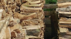 Can You Find the Cat in This Pile of Logs?