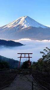 Introducing the stunning Tenku no Torii (torii in the sky)! 🗻⛩️ This picturesque torii gate, set against the backdrop of the iconic Mt Fuji, is located on the grounds of Kawaguchi Asama Shrine in Yamanashi Prefecture. The shrine enshrines the deity of volcanoes, in particular Mt Fuji. It was built in 865 in the hopes of placating the deity following a major eruption. Part of the Mt Fuji UNESCO World Cultural Heritage site, the shrine is also known for its cedar-lined entrance, with seven sacred