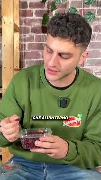 LA RACCOLTA DEL MIRTILLO ROSSO