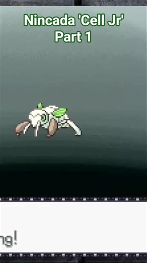Nincada 'Cell Jr' Evolves Part 1 Ninjask #shortsfeed #pokemon #pokémonevolutions