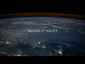 ISS - Moonlit Night · 4K