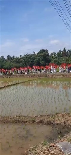 🚩❤️✊👍 | Left Cyber Wing