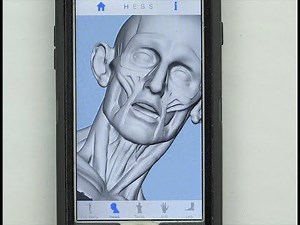 ANATOMY FOR ARTISTS: L' Ecorche APP