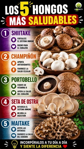 🍄 LOS 5 HONGOS MÁS SALUDABLES
