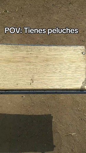 Cuentas recomendadas