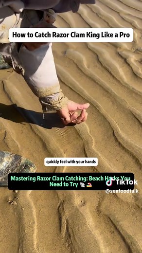 Mastering Razor Clam Catching: Ultimate Beach Hacks