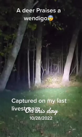 Wendigo Monster Caught On Camera in Deepest Forest