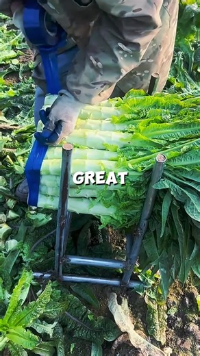 Second Date Update Insights from Brooke and Jubal