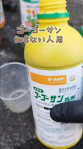 ゴーゴーサンを非農耕地で雑草対策に使う #除草剤 #抑草剤 #雑草対策 #草刈り