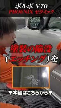 [Warning: Don't ignore bug splatter or bird droppings] 3 reasons even coated cars get paint damag...