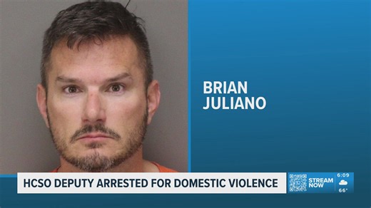 A Hillsborough County Sheriff's Office deputy was arrested for domestic violence