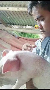 Nagtat*e kasi😅 dahil sa MILK gold ba or sa lamig? Bacterid LNG baon ko😁 💉🐷 #fbviralpost2025シ #fbreelsfypシ゚viralfbreelsfypシ゚viral #fbpost2025シ #followersreelsfypシ゚viralシfypシ゚viralシ #fbreelsfypシ゚ #AITechnician #everyone #BuhayTechnician | Gemar Glyn Bayoneta Besa