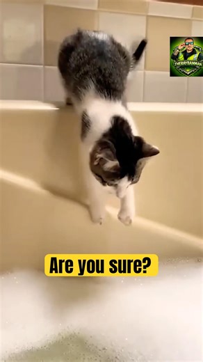 Epic Animal Fails That Will Make You Cry Laughing! 😹#FunnyAnimals #EpicFails #shorts #viralshorts
