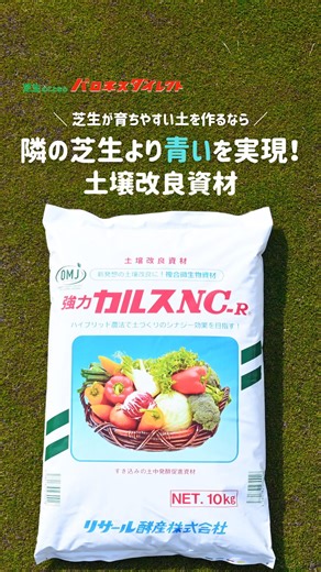 バロネスダイレクト【公式】 on Instagram: "青々とした芝生の絨毯を目指す方に✨ ／ 隣の芝生より青くなりたい方に伝えたい土壌改良剤 カルスNC-R ＼ 皆さんは、カルスNC-Rって聞いた事ありますか？ カルスNC-Rは、芝生に溜まったサッチ等の有機物を分解しながら土壌改良を行う土壌改良資材です✨ 微生物の力で芝生が育ちやすい土に変わりますよ！ ・芝生の元気がない ・部分的に芝生が剥げている ・土壌がカチカチ… そんな芝生のよくあるお悩みを解決しちゃいます💡 目に見えて効果を発揮してくれるので、お手入れが楽しくなります✨ また、 ・【焼砂】バロネス 芝生の目砂・床砂と混ぜて散布機で楽々散布♪ ・バロネス 芝生の肥料 5kg入りを別途散布 を行なえば、もっときれいな芝生になります🌱‬‪ ■注意事項 ・使用時にはマスク、手袋などを着用してください。 ・微生物資材なので開封後は早めにご使用ください。 保管する場合は紫外線の当たらない冷暗所に置いてください。 （有効期限 開封前：2年 開封後：約6か月） ・カルス散布後に殺菌剤を使用してしまうと効果が落ちます。 使用する場合は殺