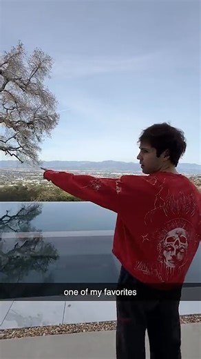 One of my favorite house tours | David Dobrik
