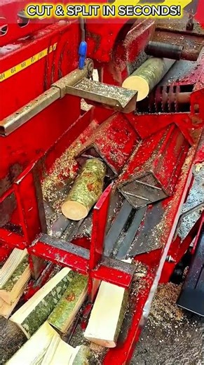2-in-1 Firewood Processor – Cut & Split Logs in Seconds! Satisfying Wood Processing Machine.