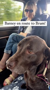 272K views · 609 reactions | Barney’s first public appearance tonight is at Birmingham Town Hall for Bella’s first book event for What A Way To Go. Bella and Barney are being interviewed by star of stage and screen @joelycett and you can get last minute half price tickets in the link in my bio using the code BELLA50 or on the door at the venue. They’re on at 7:30pm. See you there! X | Greg James | Facebook