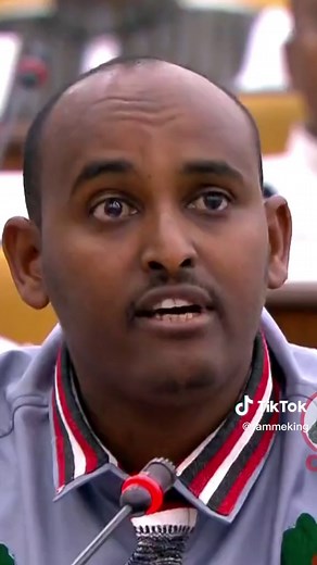 ʀᴀᴍᴍᴇᴇ ʜʙ on TikTok