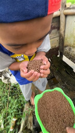 Hafizhan mau ngasih makan ikan 🐟 part11 #hafizhanvlog