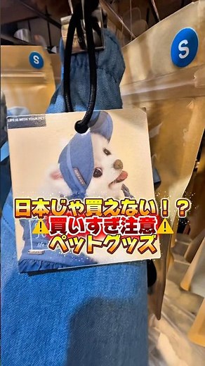 【韓国◦明洞】夜まで営業！最新ペット服が揃う韓国のペット用品店が凄すぎた#犬 #いぬ#犬のいる暮らし #大型犬のいる生活 #韓国 #ペット #ペットショップ #おしゃれ #ペットグッズ #ペット用品