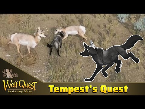 Choosing a New Den on Amethyst Mountain! | WolfQuest Wayfinders: Tempest's Quest #3