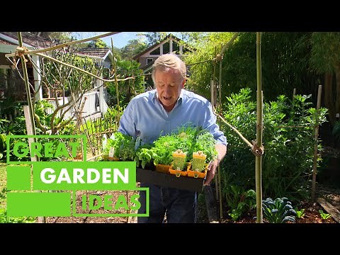 How to Grow Vegetables and Herbs Naturally | GARDEN | Great Home Ideas