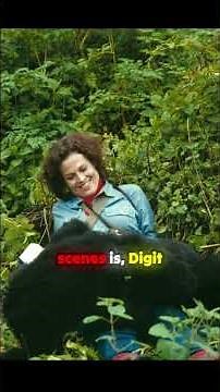 The Brutal Truth Behind Gorillas in the Mist & Dian Fossey #podcast #history #movie #truestory #film