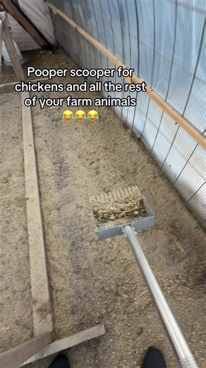 Effortless Poop Removal with This Pooper Scooper