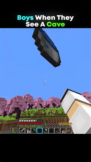 Girls VS Boys #minecraft