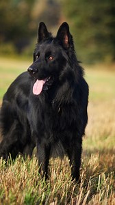 157K views · 1.3K reactions | Hands down one of the most common...